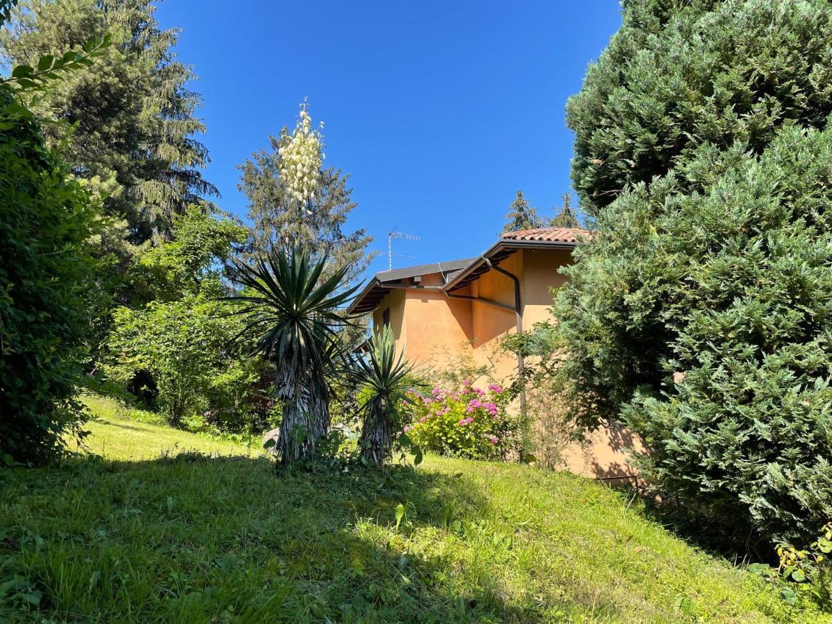 Appartamento Lake View Di Villa Giuliana Sulzano Zewnętrze zdjęcie